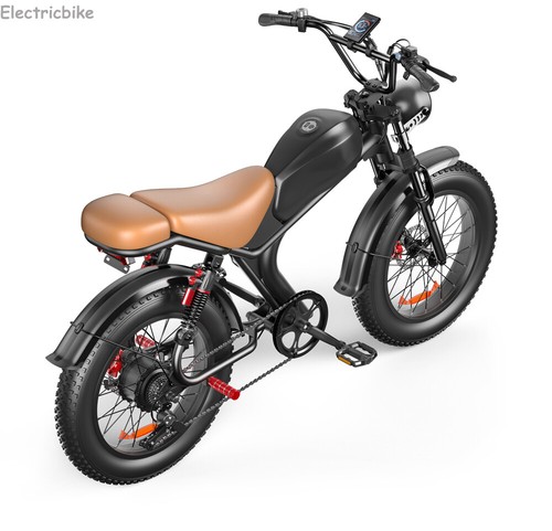 High-Speed Electric bike 48V 20Ah Fat Tyre Dual Shock 75KM CE Certified e-bike - Picture 2 of 14