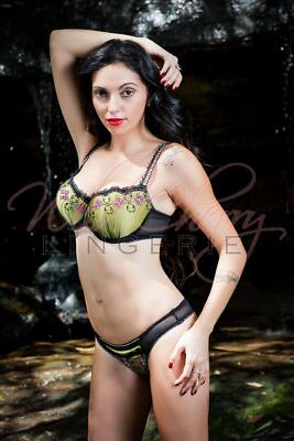 Hilton Collection Thong Panties VIPA Lingerie