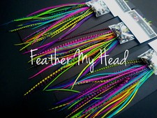 Feathers - 16 Pc - Pick Your Legth Up To 16 In Long - Optional DIY Kit