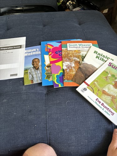 Fountas & Pinnell LLI Grade 3 Red System 97-128 + Test; 1 Set= 26 Books - Picture 11 of 11