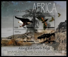 Gambia 2005 - Africa Animals - Sheet of 4 Stamps - Scott #2940 - MNH