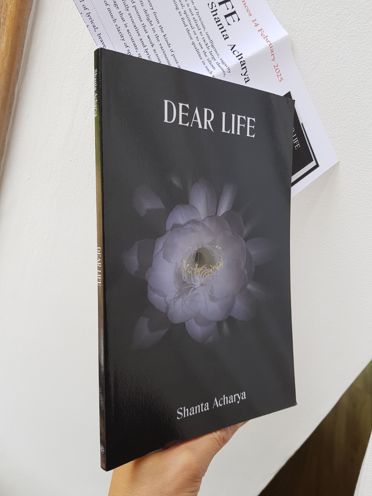 Dear Life : Stories by Alice Munro (2013, Trade Paperback)