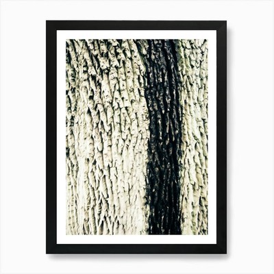 Baumrinde Textur Kunstdruck gerahmt Wandbild Poster Leinwanddruck Bild