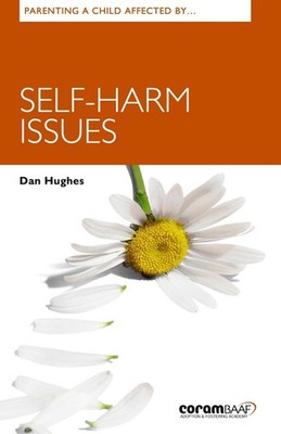 Parenting A Child Affected By Self-harm Issues by Dan Hughes Paperback Book
