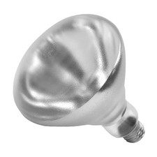 Incandescent 250W Heat Lamp Bulb - 12 / CS
