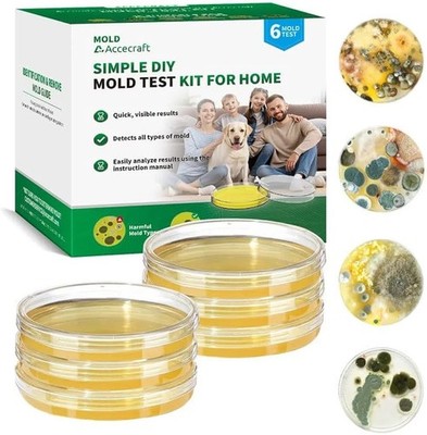 Mold Test Kit for Home -DIY Mold Testing Kit with 6 Individual Tests-Black Mo