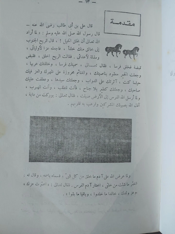 RARE ARABIC KNIGHT'S GUIDE BOOK1978دليل الفارس - Image 4 of 4