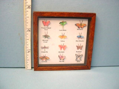 Miniature Framed Butterfly Display Case Terry Harville Handcrafted 1/12th
