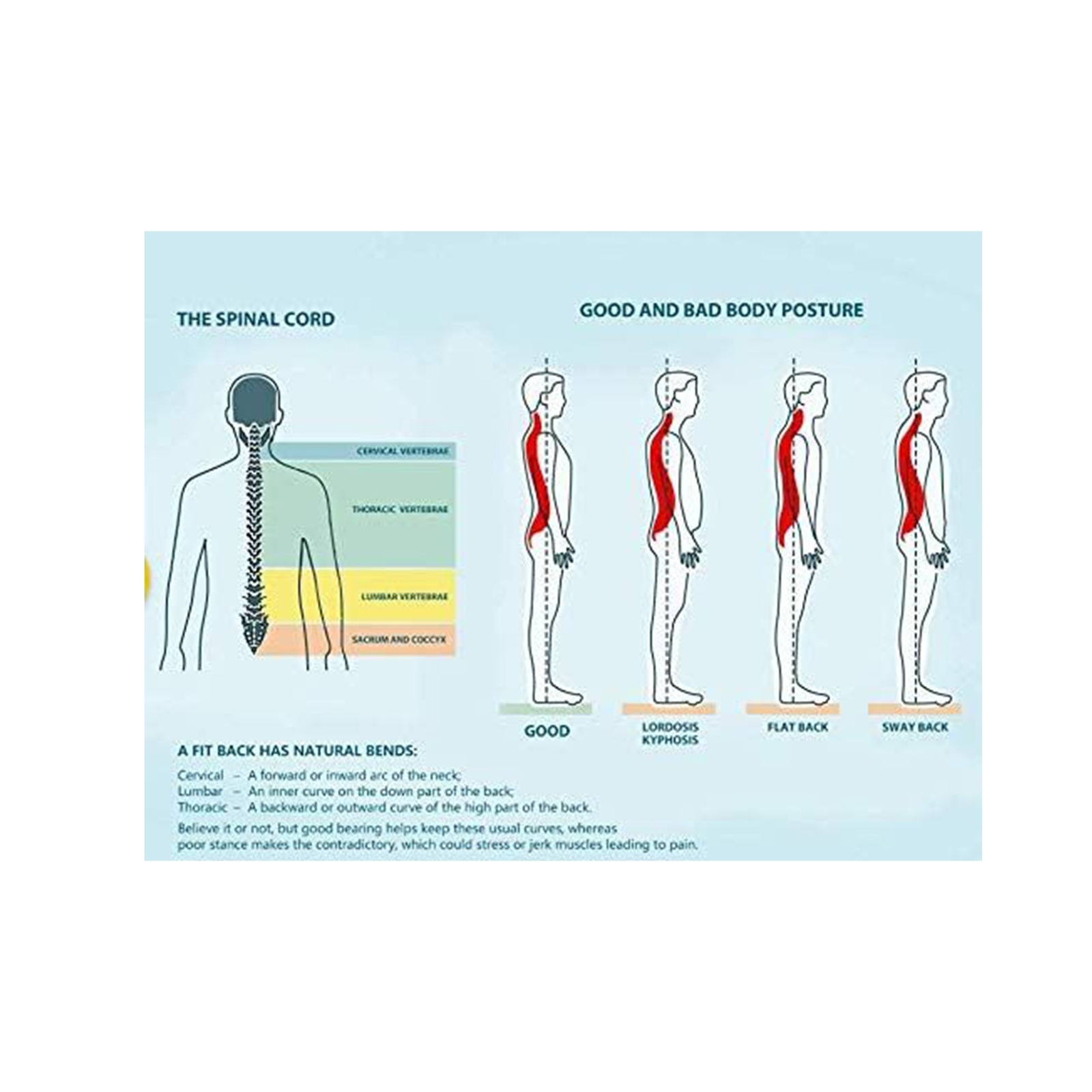 Ottobock Medical Lumbosacral Orthosis Back Brace HCPCS L0631 eBay