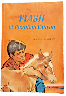 Flash Of Phantom 1967 Canyon Agnes V Ranney 2nd Printing VTG Kids Paperback