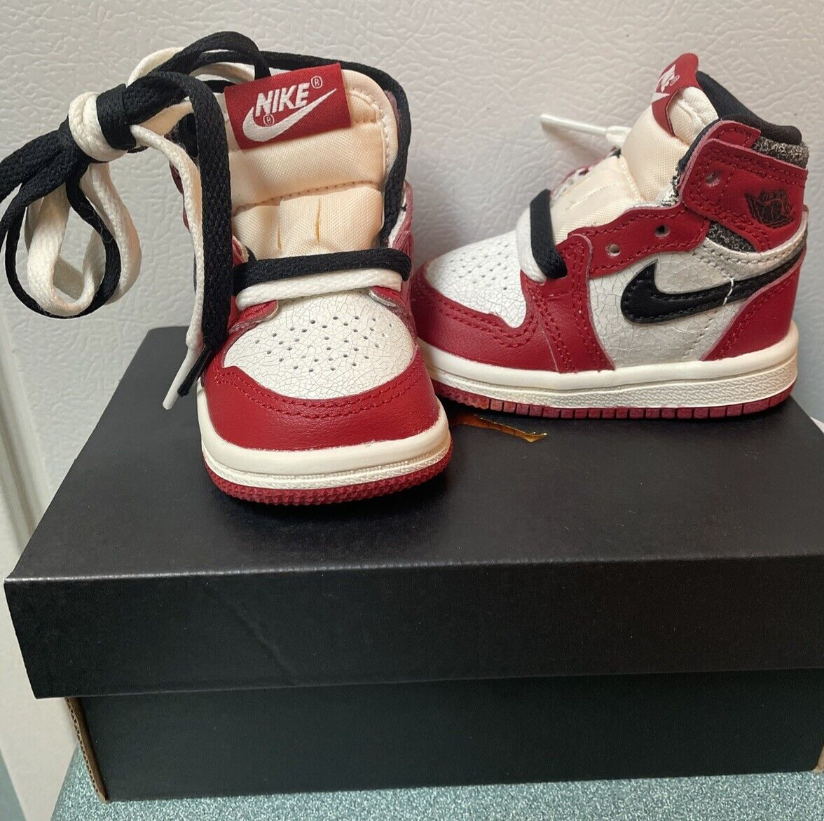 Nike Jordan 1 Retro High OG TD Chicago Lost and Found AJ1 FD413