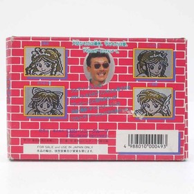 Used Masashi Tashiro S Princess Full Famicom Software Retro FV373