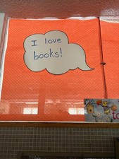 Wired Safety Glass - 41" x 43" Panels - Slightly used