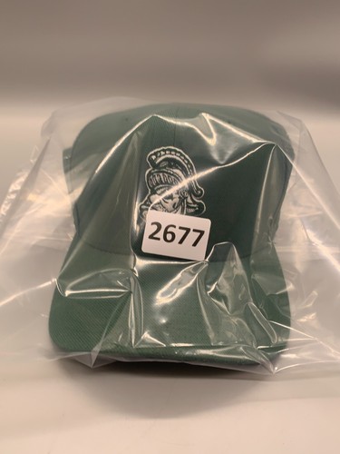 Michigan State Spartans Hat Cap Fitted Small Medium Green Nike NCAA Sparty Gruff - Picture 15 of 15