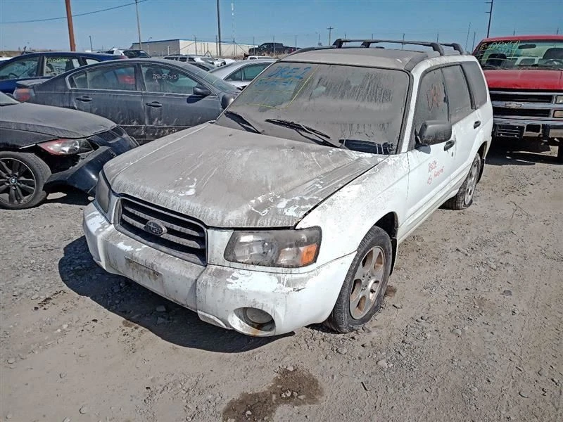 Luz trasera derecha pasajero DMG de 2003 Subaru Forester 7797879 Foto 4 de 4