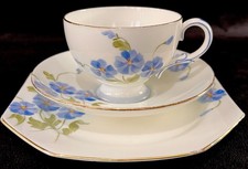 Royal Paragon X1867 Hand Painted Vintage Bone China Tea Cup Saucer & Plate Trio
