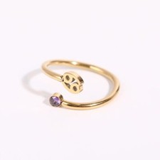 Zodiac Sign Birthstone Open Ring Stainless Steel 18K Gold Plated Fashion Jewelry