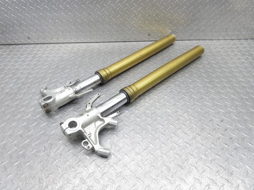 2020 17-20 Aprilia Tuono V4 1100RR Front Left Right Fork Suspension Damper Tube