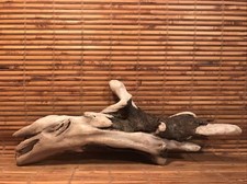 Beautiful 14" Driftwood Piece Terrarium Reptile Taxidermy Aquarium Beach Decor
