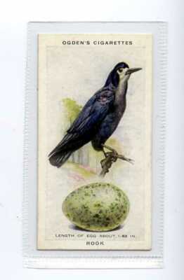 (Jj3647) OGDENS, BRITISCHE VÖGEL & IHRE EIER, TURM, 1939, #34