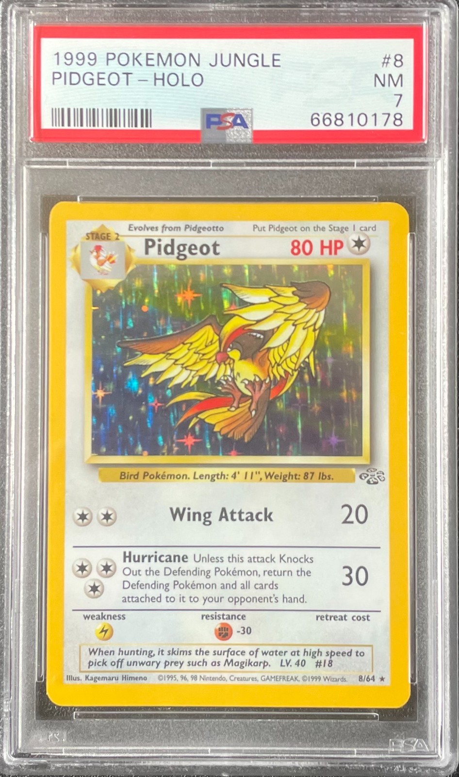 1999 Pokemon Jungle 1st Edition #8 Pidgeot Holo PSA 7