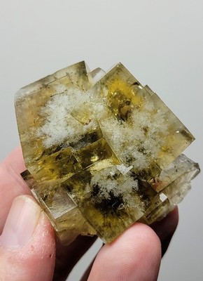 Golden Fluorite Crystals - Honey Bear Pocket,  Diana Maria Mine, England 