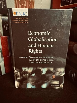 Ökonomische Globalisierung und Menschenrechte von Wolfgang Benedek