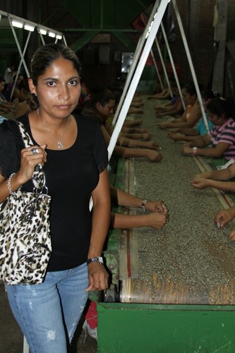Costa Rica Tarrazu Kaffeebohnen dunkelgeröstet 2 Pfund - Bild 19 von 24