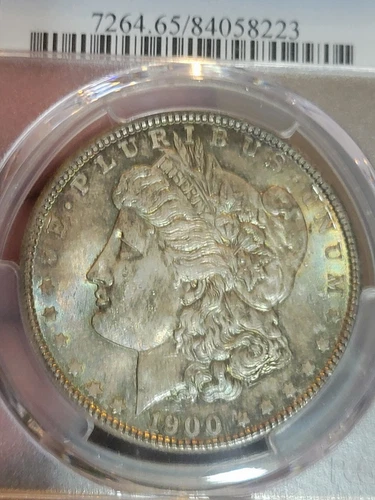 1900 $1 Morgan Dollar MS65 PCGS Toned