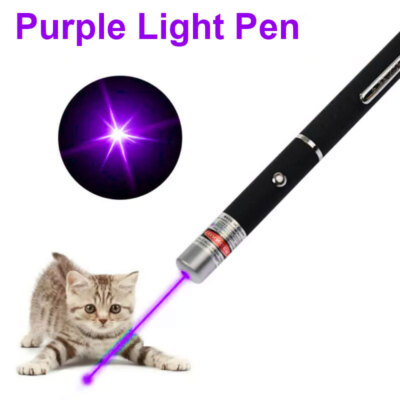 900Miles Purple Laser Pointer Pen 532nm Lazer for office Pet Camping 1MW Pocket