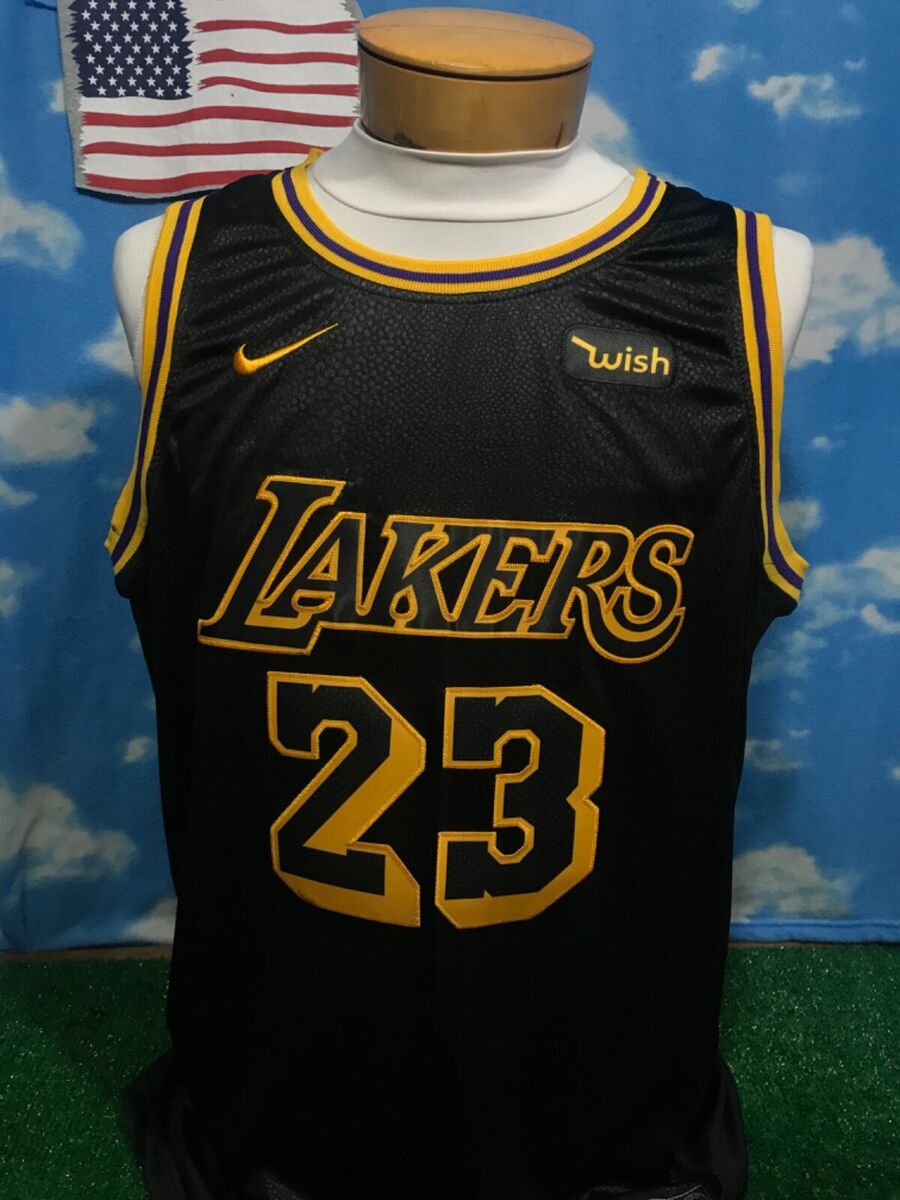 LA Lakers LeBron James #23 Nike Wish NBA Swingman Jersey LA Lakers LeBron James #23 Nike Wish NBA Swingman Jersey