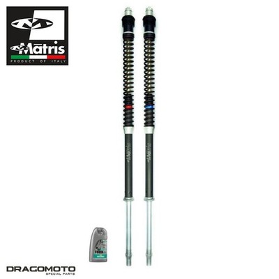 Gabel Kit Triumph Bonneville 900 T100 (DB04) 2021-2025 MATRIS F15T145K Ant...