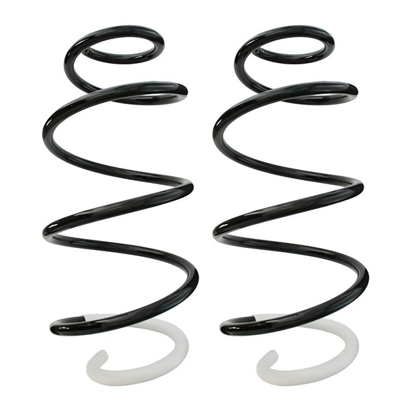 Fahrwerksfedern-Set Vorderachse Schraubenfeder Ø163Mm Spidan FüR CitroËN C4-image