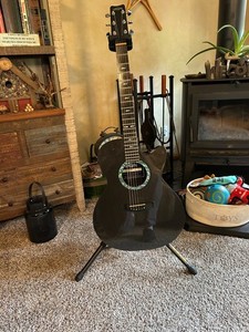 Rainsong Guitar | eBay