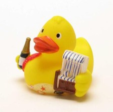 Badeend Eend op Sylt-eiland Badeendje