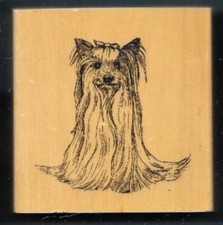 YORKSHIRE TERRIER DOG BREED House Pet Puppy STAMP GALLERY New wood mount Rubber