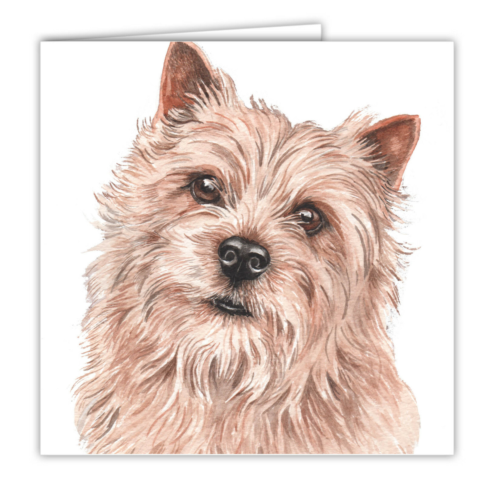 Norwich Terrier greetings card dog blank card dogs Norwich Terriers WaggyDogz