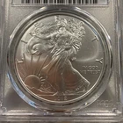 2019 Silver American Eagle  PCGS MS70. Beautiful Coin 012320