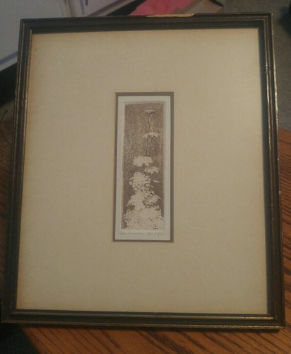 VTG Framed Art Piece Print? Queen Annes Lace 14x12 T Bryan? - Picture 2 of 7