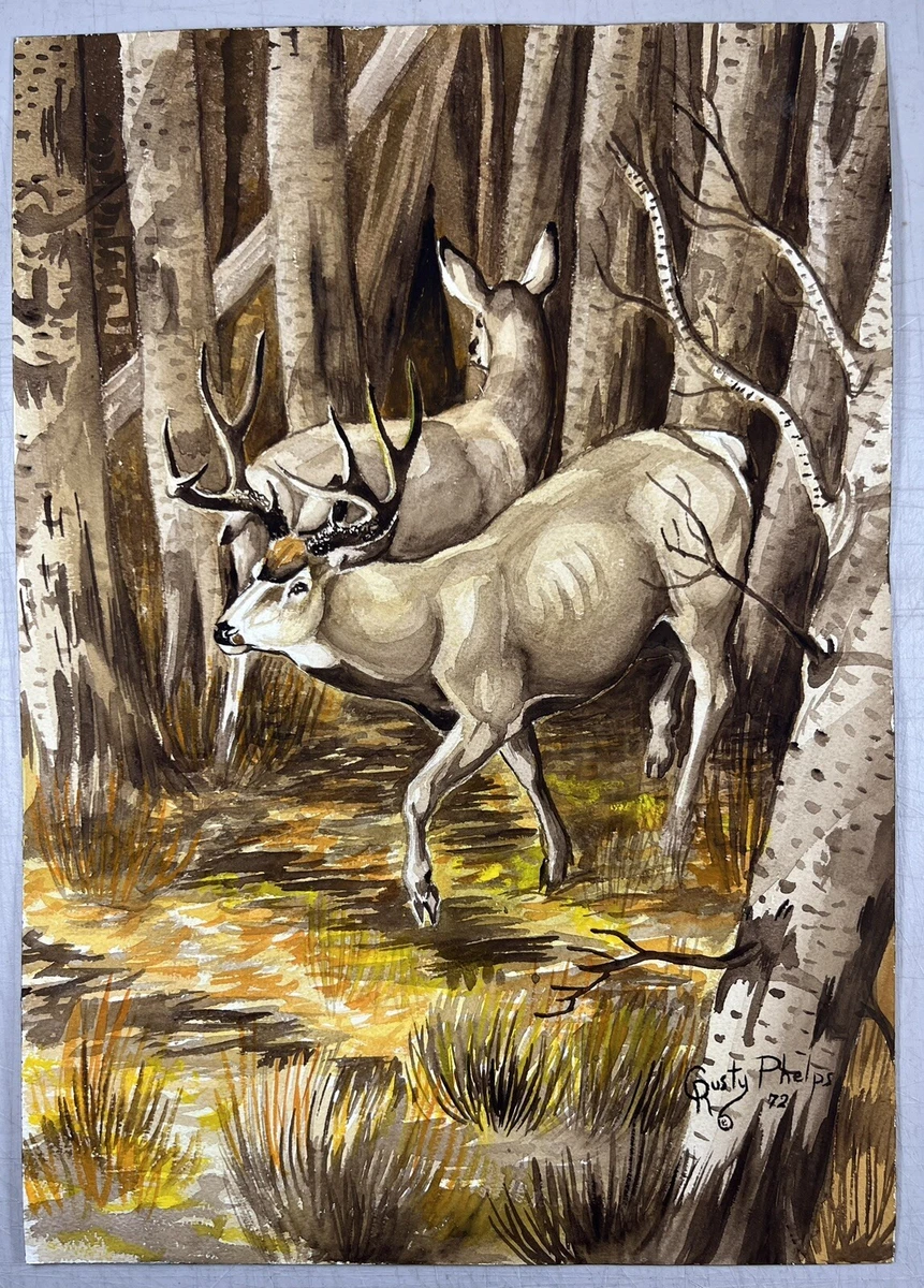 Doe Watercolor