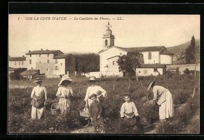 Cote-D´Azur, Blumenpflückerinnen vor einer Ortschaft, Ansichtskarte 