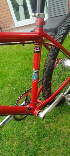 Mercian with Rohloff hub 14/500 . Reynolds 725 17" frame. unique bike - Picture 9 of 16