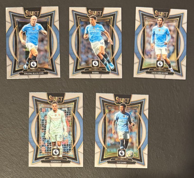 Panini Select Premier League 24-25 All 5 Man City Team Terrace Cards #51-55