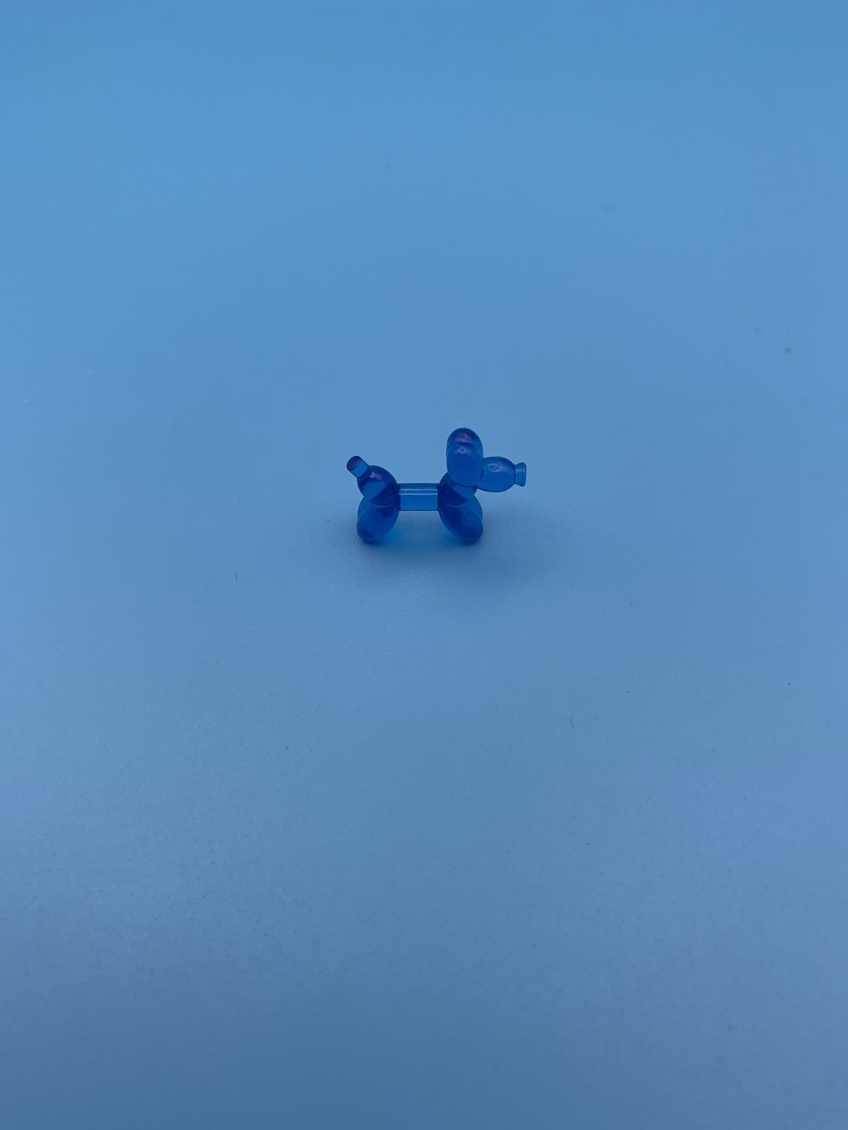 Picture 4 of 5