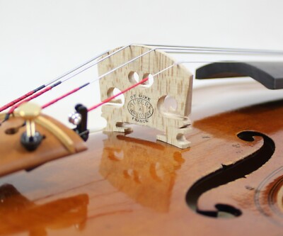 Special Offer! Giovanni Paolo Maggini 4/4 Violin Copy! M7916 Nice