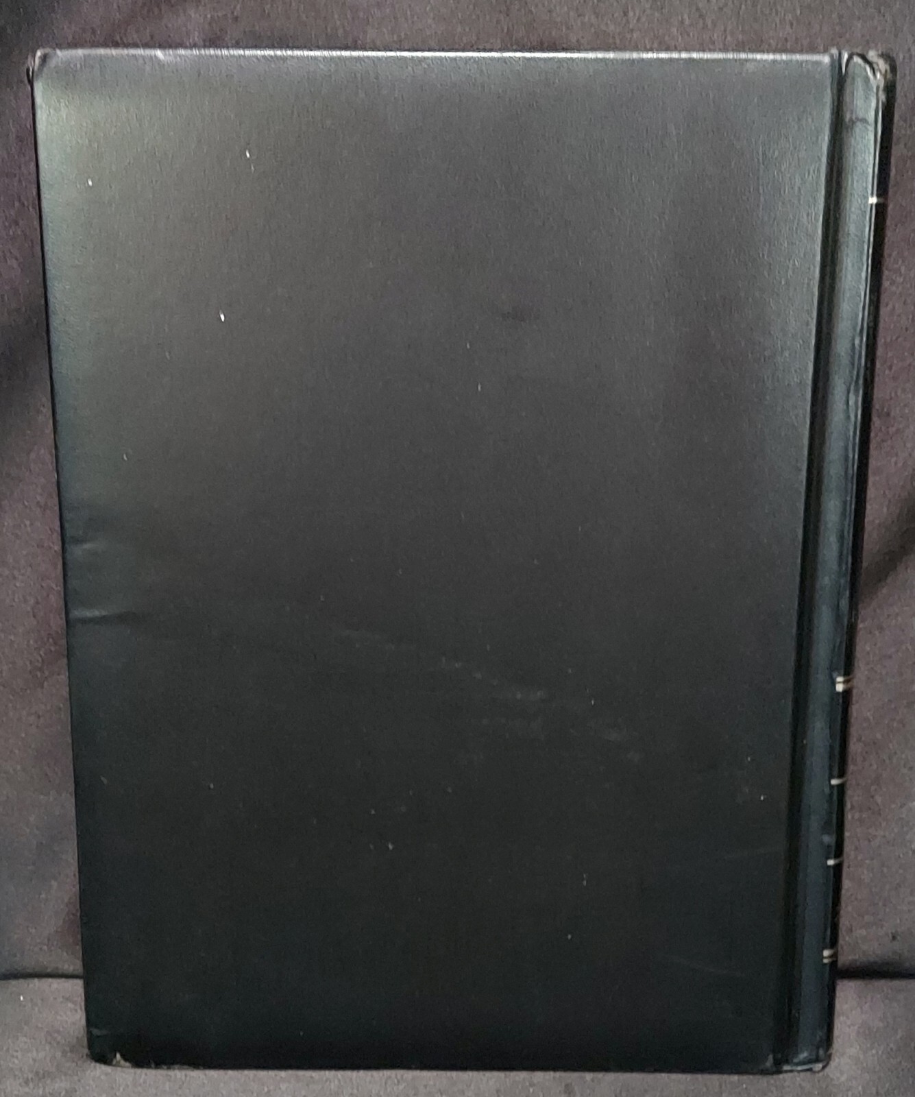 Picture 4 of 11