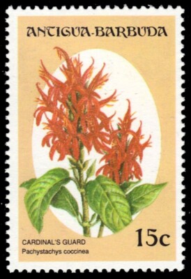 ANTIGUA 1650 - Cardinal's Guard 