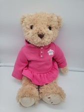 FAO Schwarz Teddy Bear Girl Toys R Us 14 Inch Blonde Pink Dress Plush 2010 Rare
