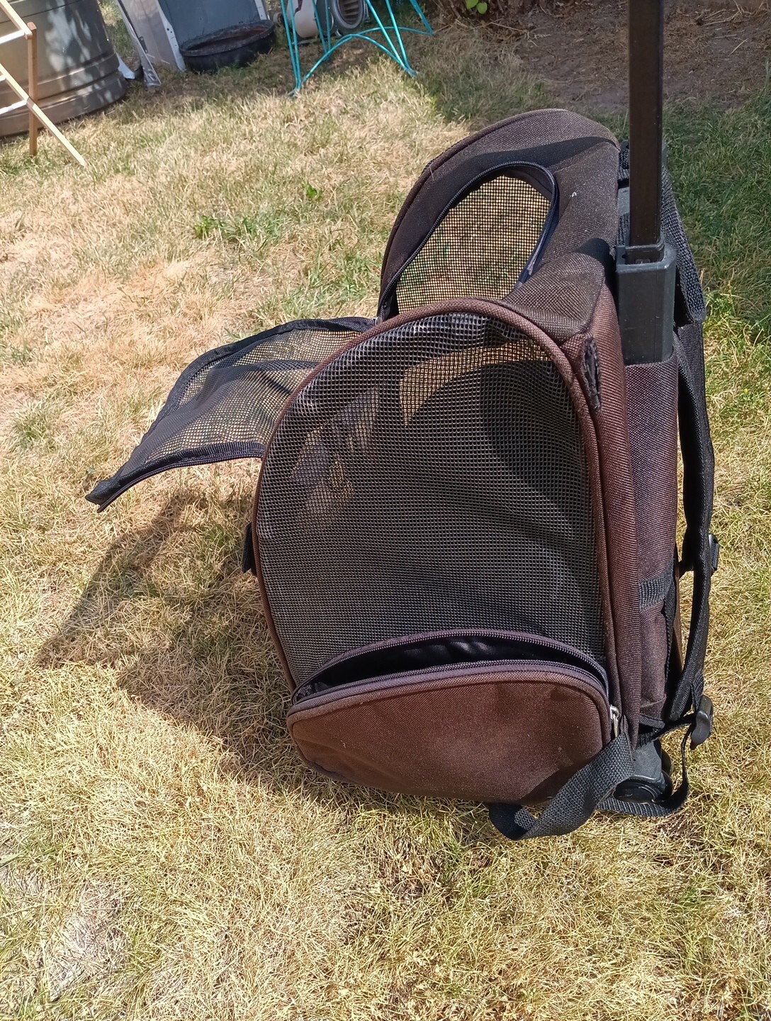 Picture 6 of 11