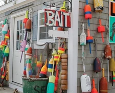 Springbok Oh Buoy! 500 Piece Jigsaw Puzzle